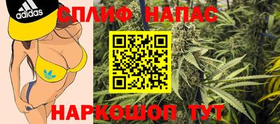 сатива Кимры