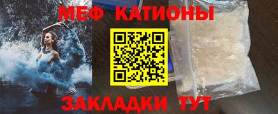 прущие грибы Кингисепп