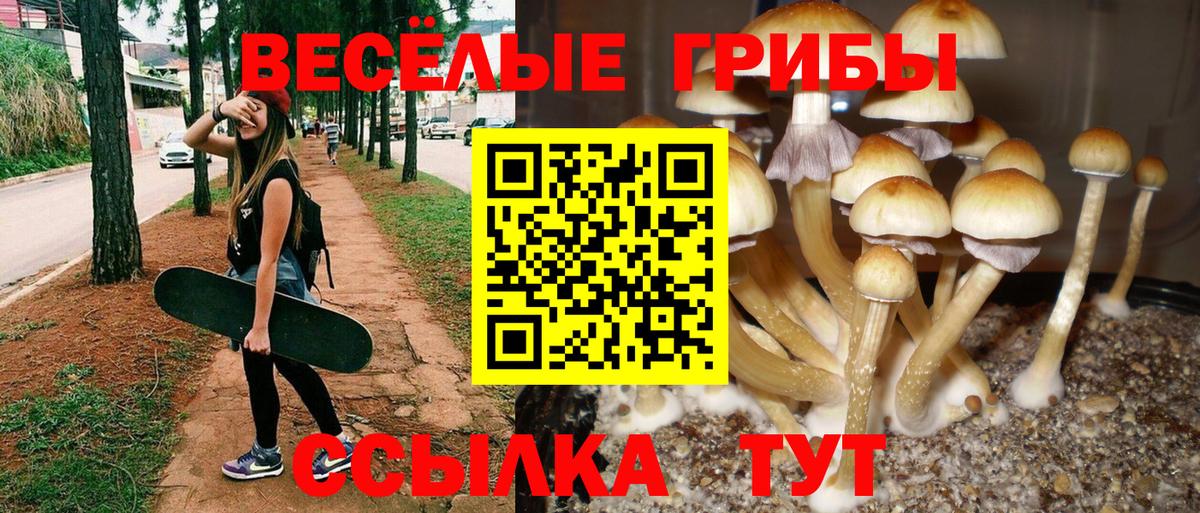 Псилоцибиновые грибы MAGIC MUSHROOMS Уссурийск