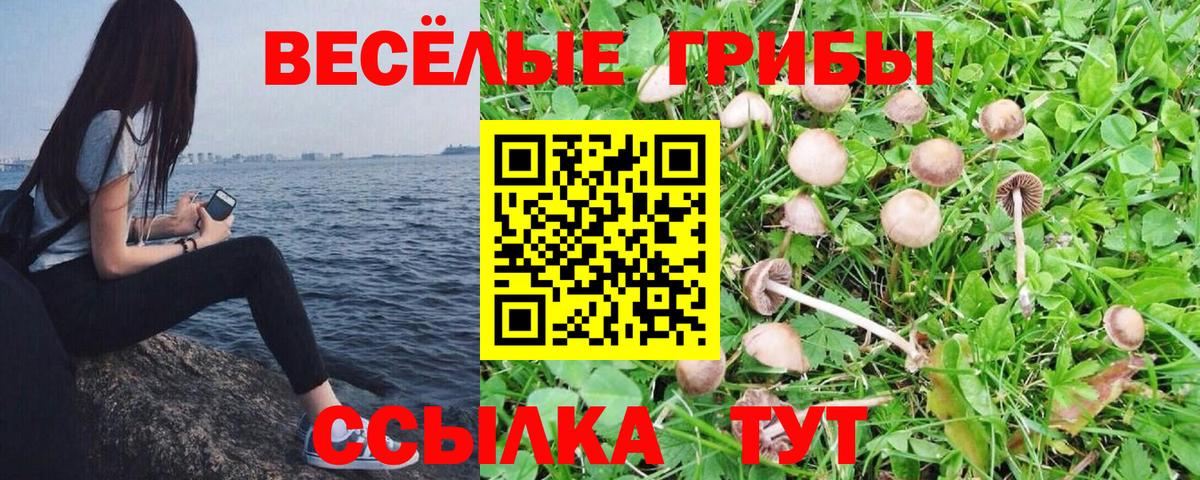 Псилоцибиновые грибы Psilocybe  Псилоцибиновые грибы мицелий  Вход с VPN  Уссурийск 